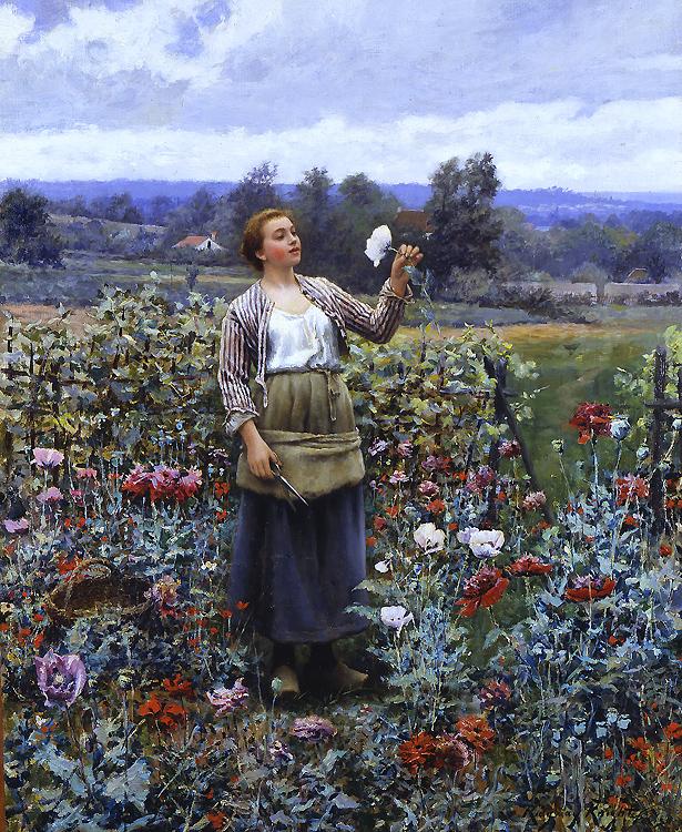 Daniel Ridgeway Knight Picking Poppies oil painting image